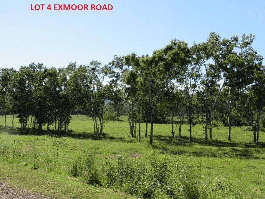 LOT 2,3 & 4 EXMOOR ROAD & LOT 3 MIDGE POINT RD, BLOOMSBURY, QLD 4799