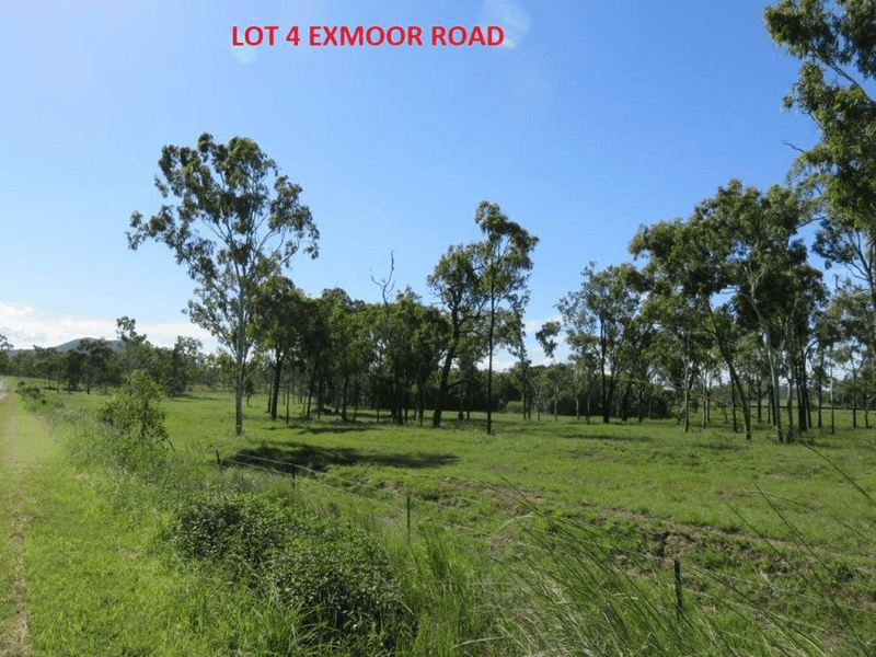 LOT 2,3 & 4 EXMOOR ROAD & LOT 3 MIDGE POINT RD, BLOOMSBURY, QLD 4799