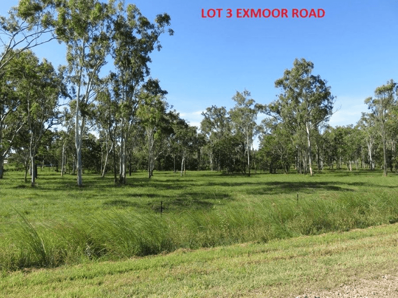 LOT 2,3 & 4 EXMOOR ROAD & LOT 3 MIDGE POINT RD, BLOOMSBURY, QLD 4799