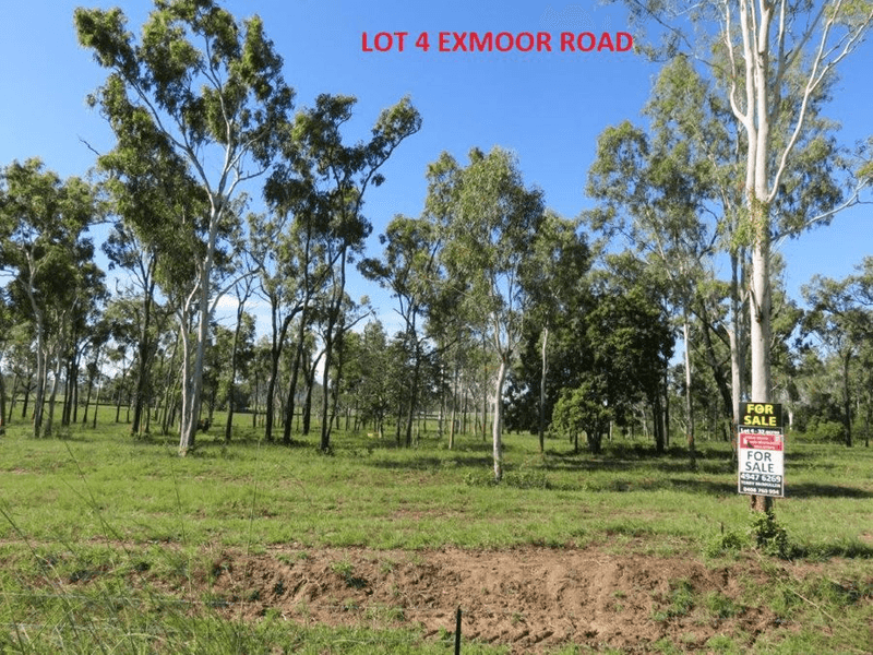 LOT 2,3 & 4 EXMOOR ROAD & LOT 3 MIDGE POINT RD, BLOOMSBURY, QLD 4799