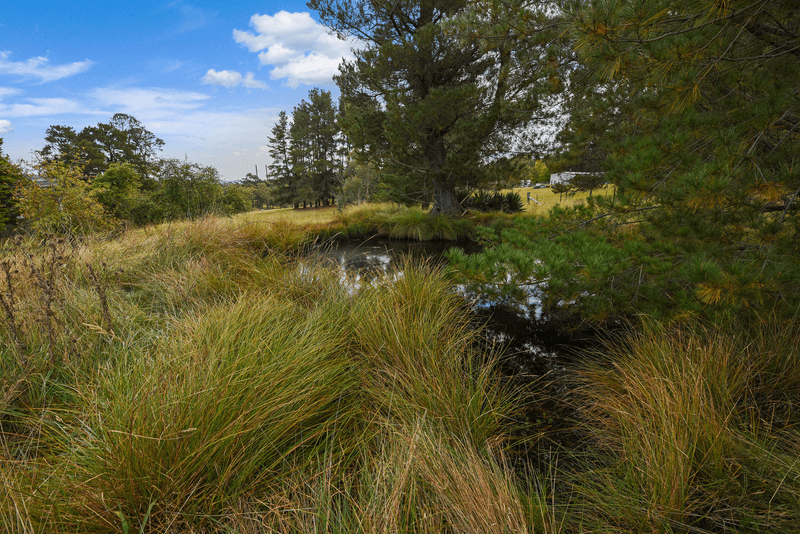 Rocky Waterhole Drive, WALLERAWANG, NSW 2845