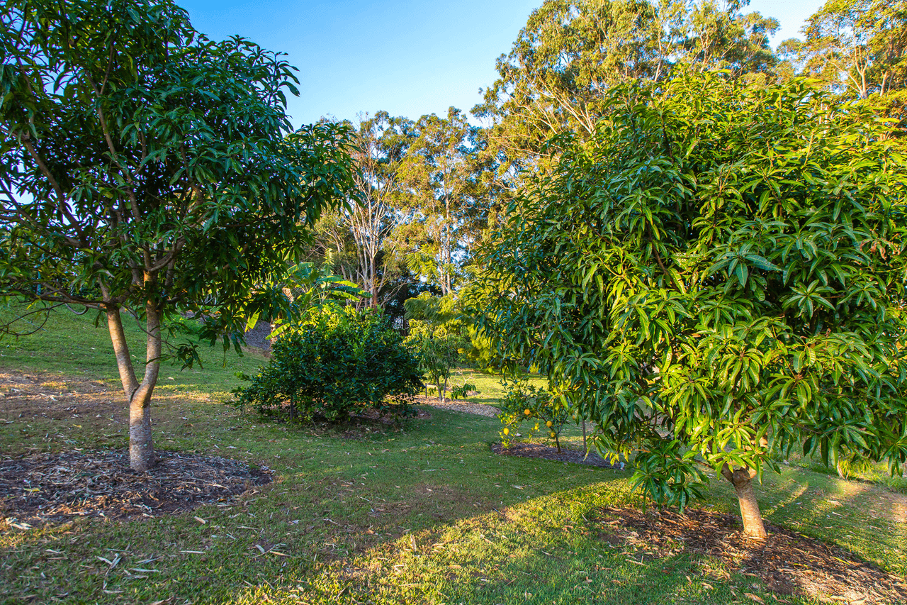 17 Coolwater Place, Rosemount, QLD 4560