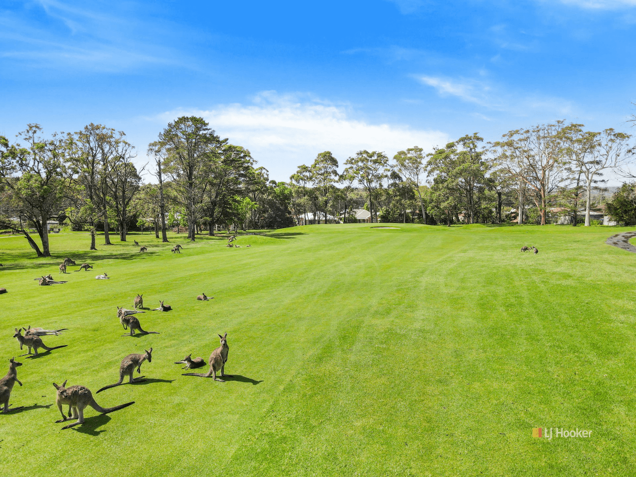 99 Waratah Crescent, SANCTUARY POINT, NSW 2540