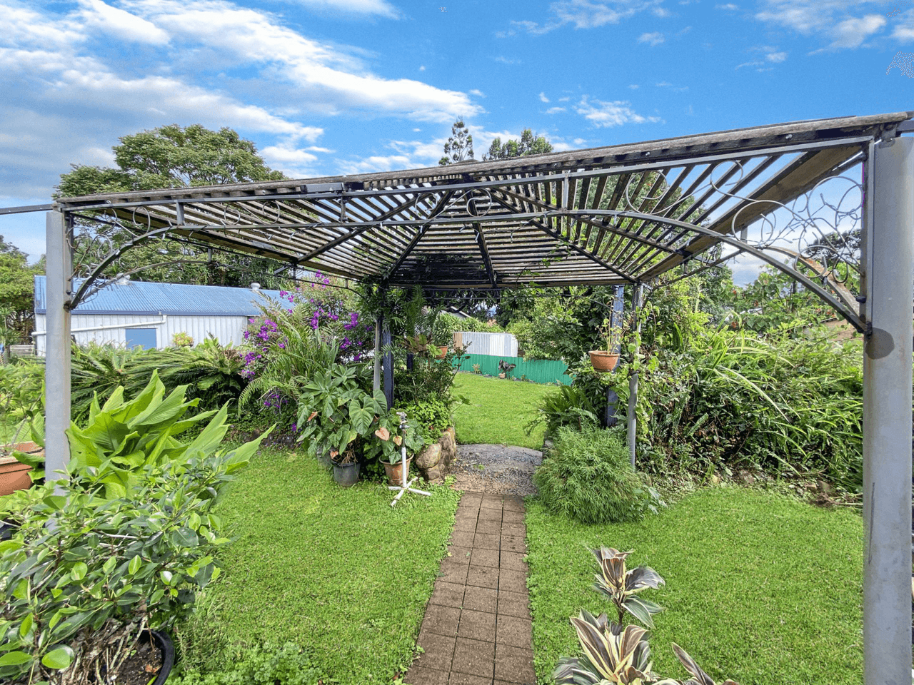 12 Wattle Street, MILLAA MILLAA, QLD 4886