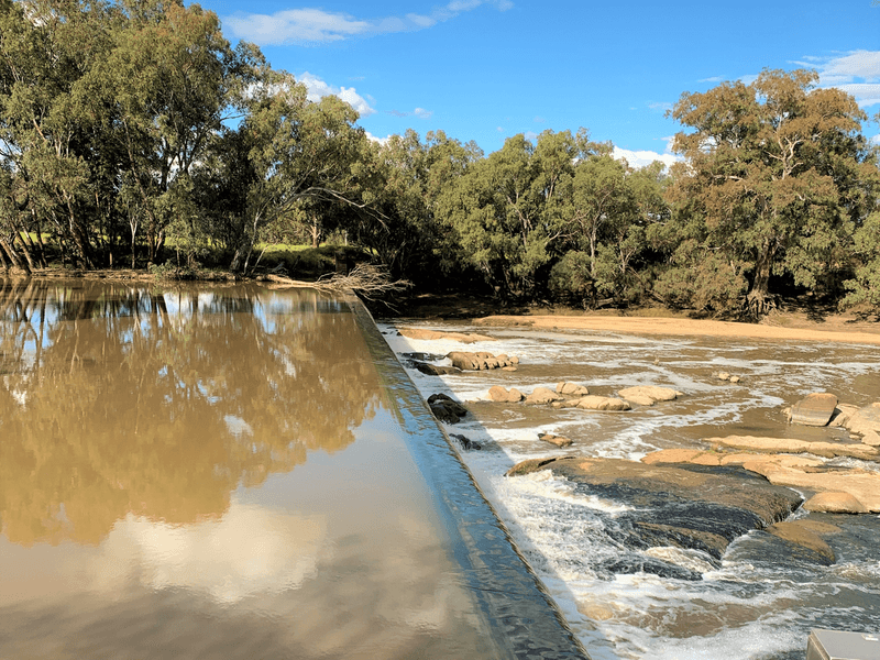 13774 Lachlan Valley Way, CONDOBOLIN, NSW 2877