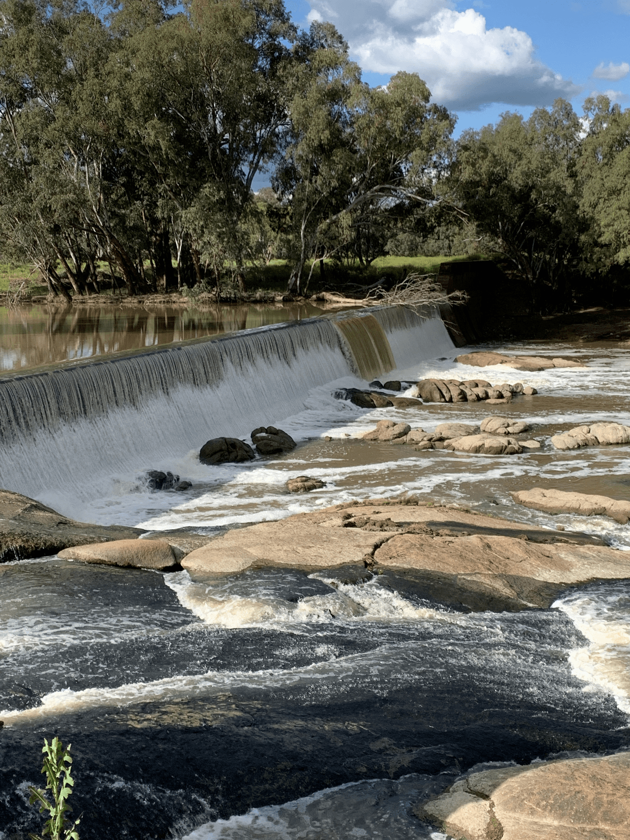 13774 Lachlan Valley Way, CONDOBOLIN, NSW 2877