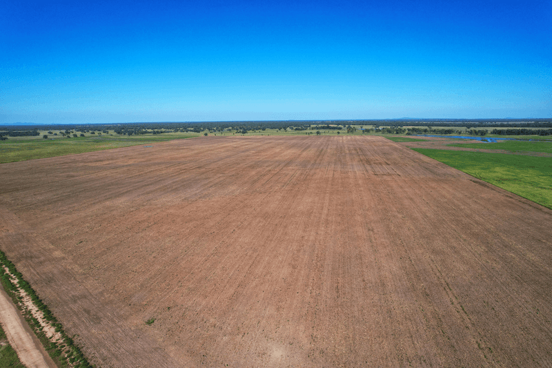 13774 Lachlan Valley Way, CONDOBOLIN, NSW 2877