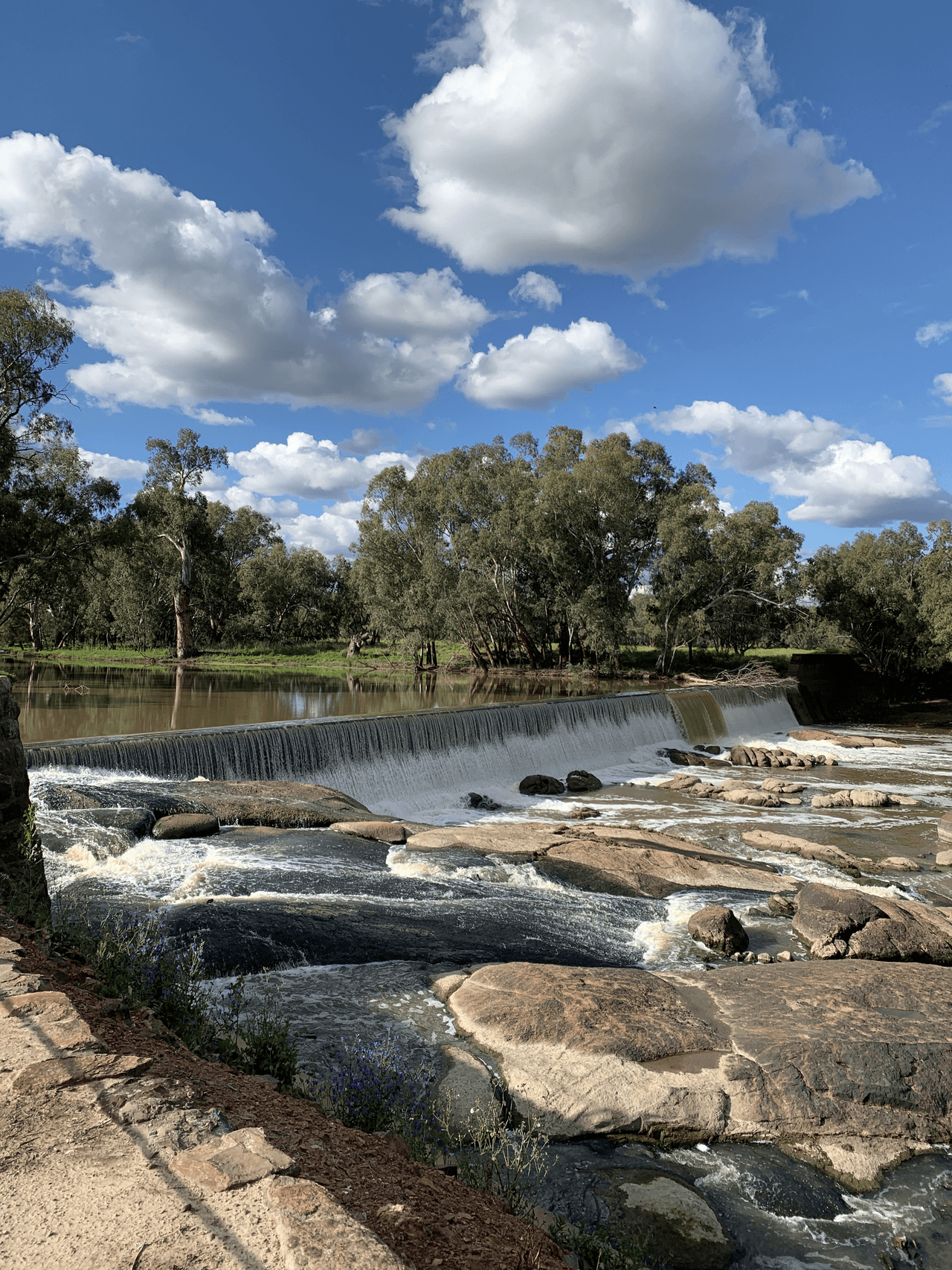 13774 Lachlan Valley Way, CONDOBOLIN, NSW 2877