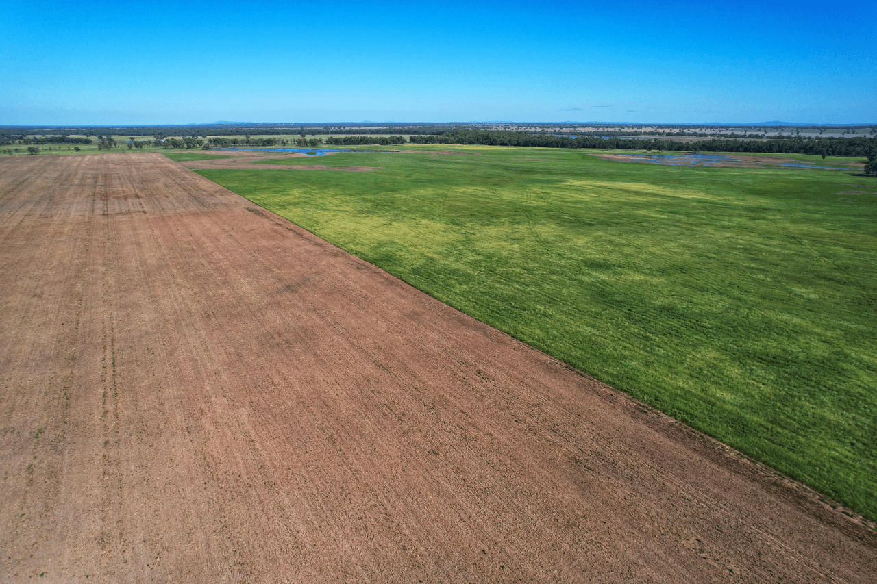 13774 Lachlan Valley Way, CONDOBOLIN, NSW 2877