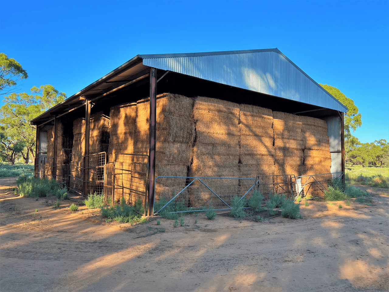 13774 Lachlan Valley Way, CONDOBOLIN, NSW 2877