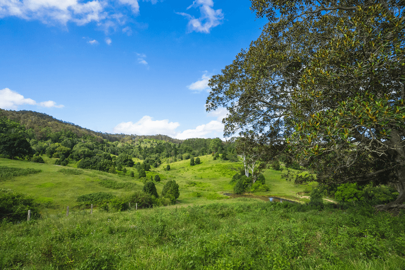 59 Ironstone Creek Road, TUCHEKOI, QLD 4570