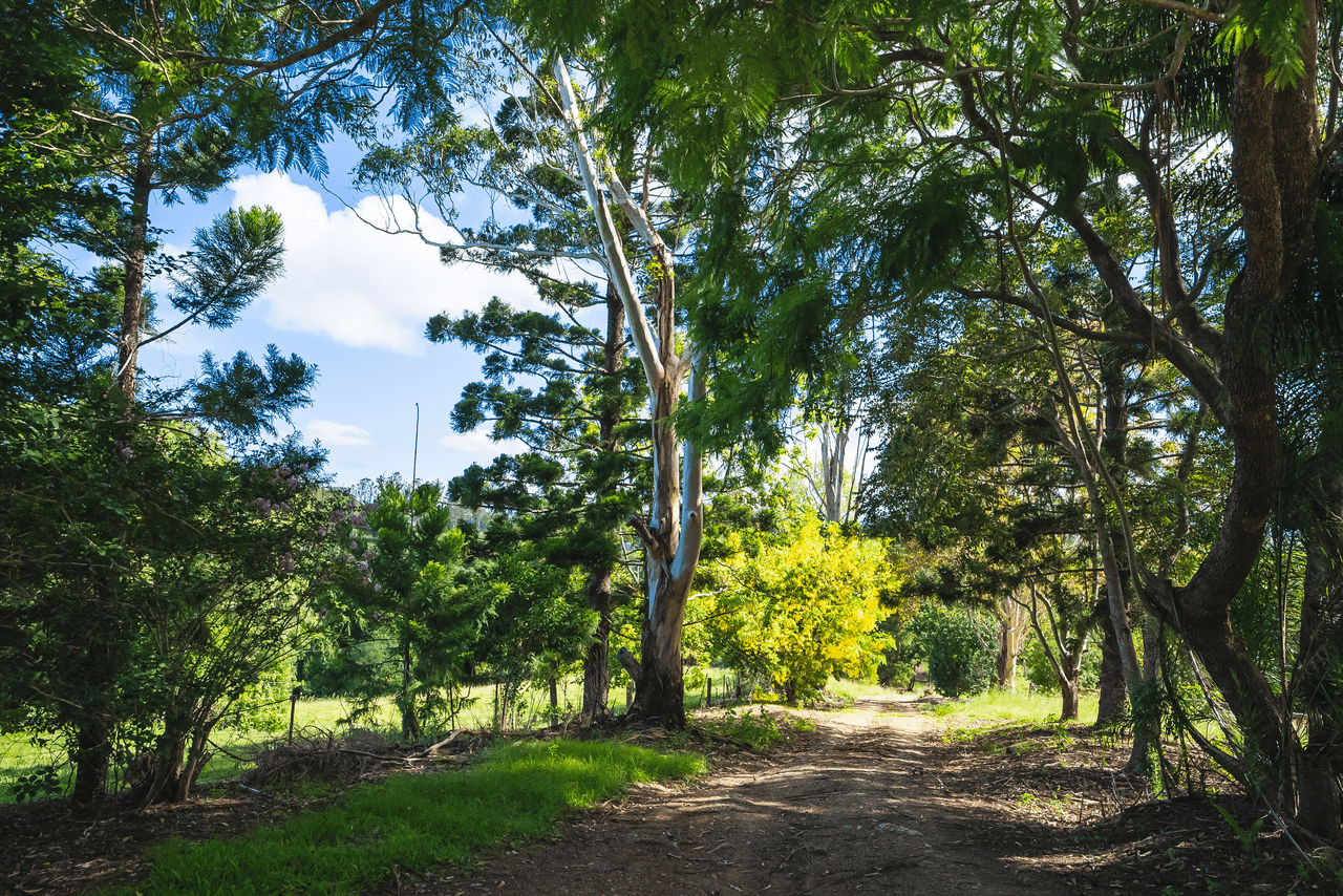 59 Ironstone Creek Road, TUCHEKOI, QLD 4570