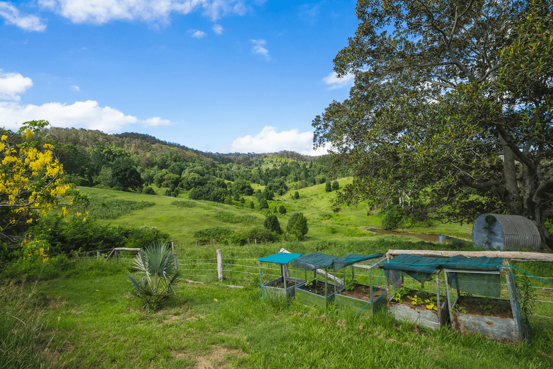 59 Ironstone Creek Road, TUCHEKOI, QLD 4570