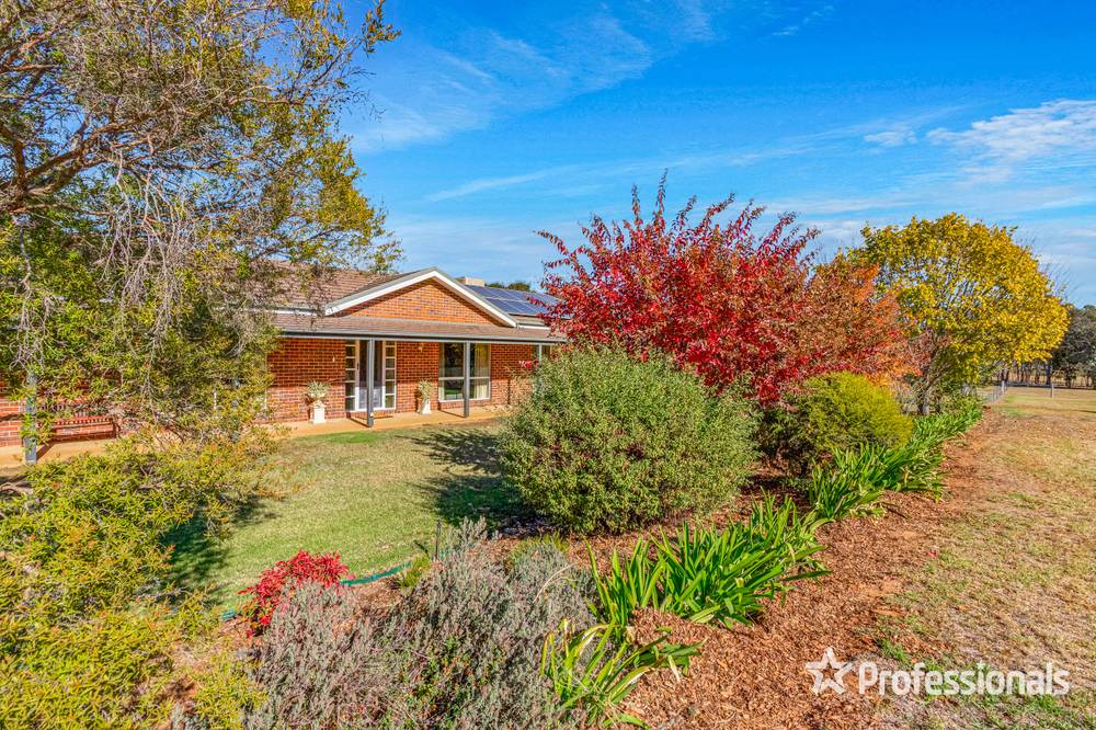 4 Kapooka Road, San Isidore, NSW 2650
