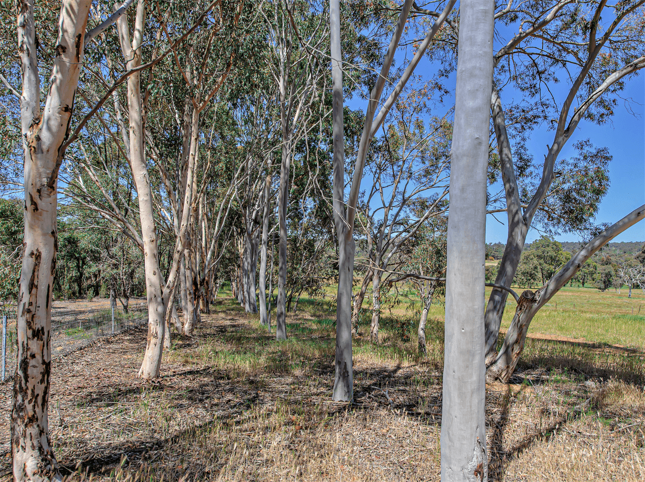 200 Carter Road, THE LAKES, WA 6556