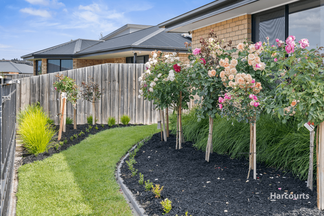 8 Peronne Court, BRIGHTON, TAS 7030