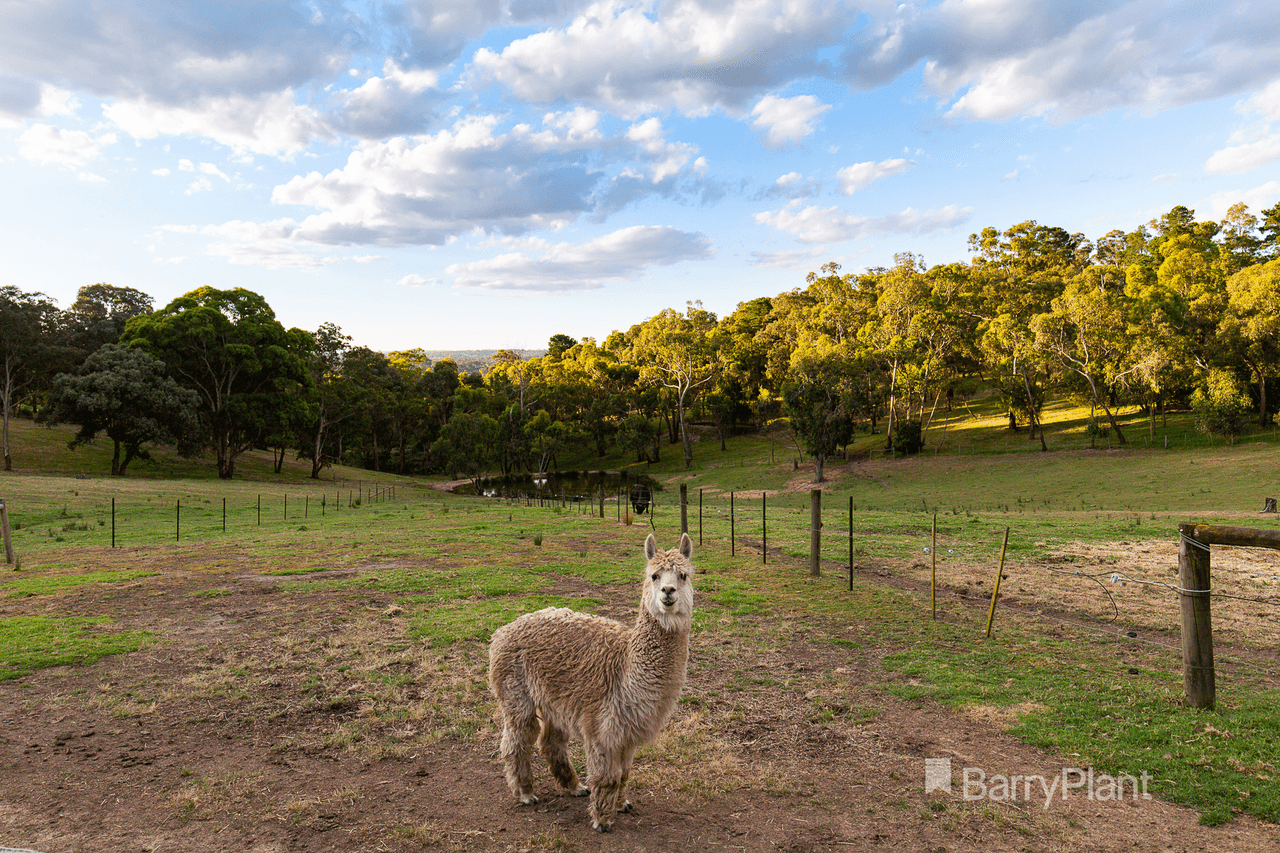 14 Margaret Street, RESEARCH, VIC 3095