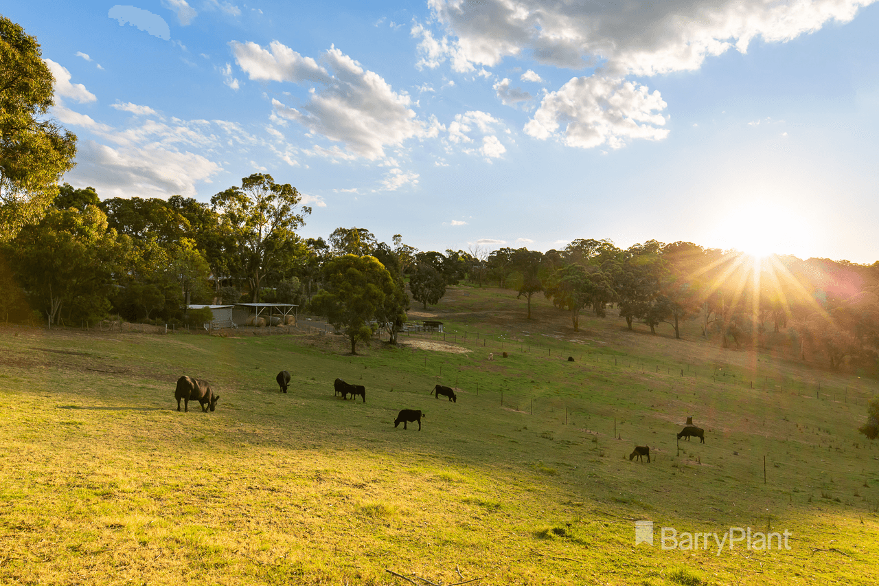 14 Margaret Street, RESEARCH, VIC 3095