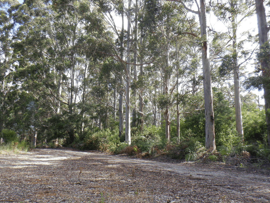 Lot 9026 Holiwell Road, NORTHCLIFFE, WA 6262