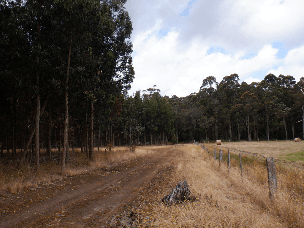 Lot 9026 Holiwell Road, NORTHCLIFFE, WA 6262