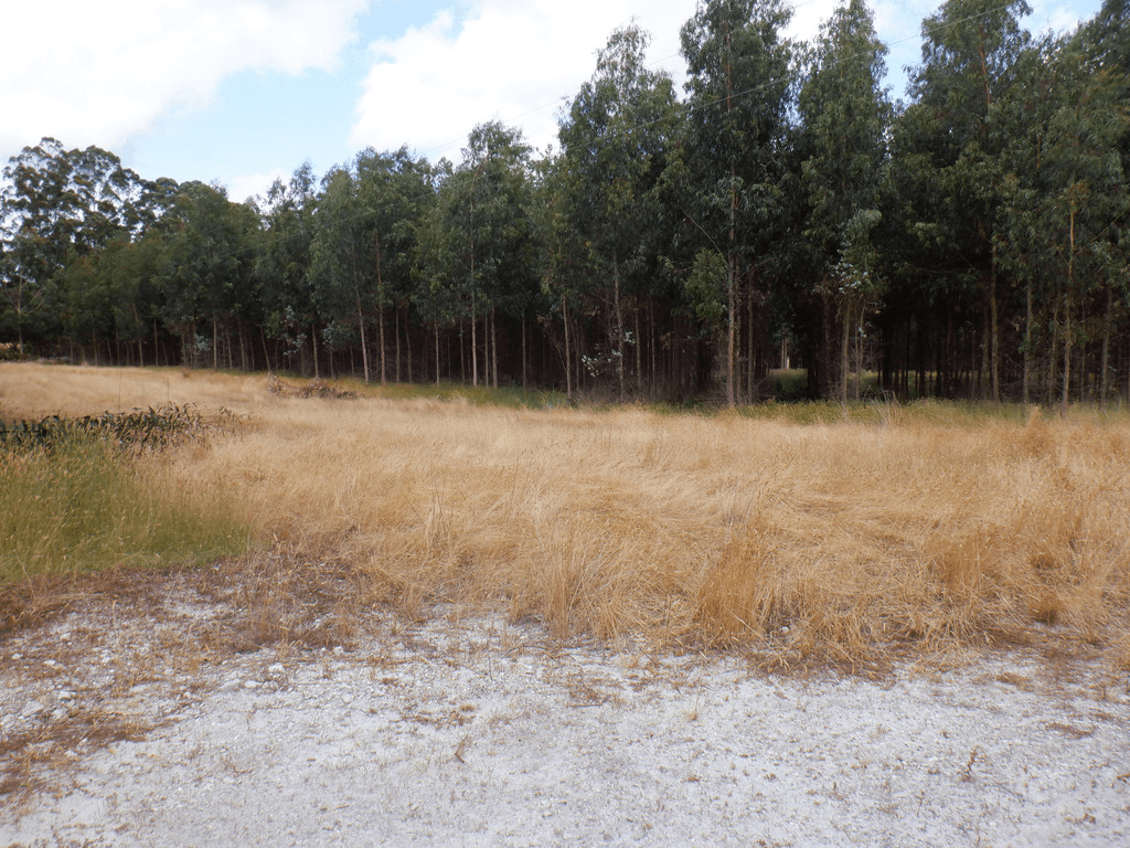 Lot 9026 Holiwell Road, NORTHCLIFFE, WA 6262