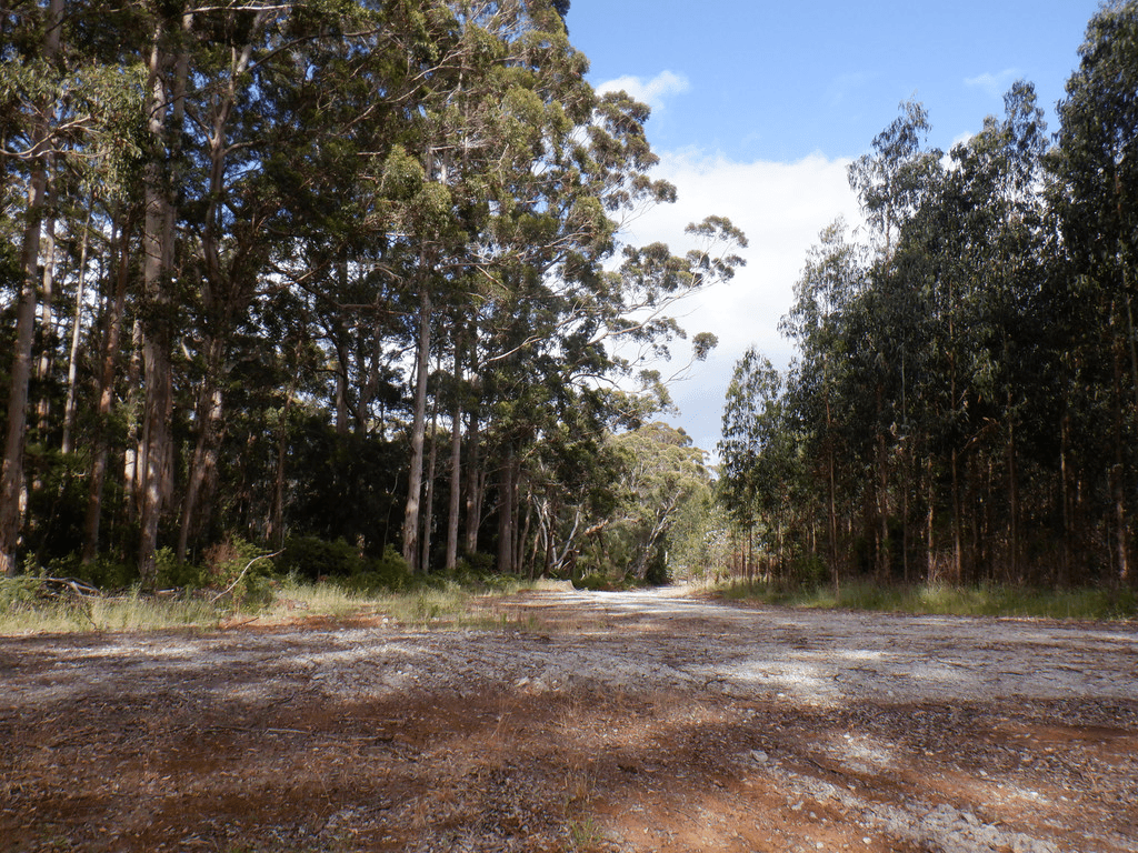 Lot 9026 Holiwell Road, NORTHCLIFFE, WA 6262