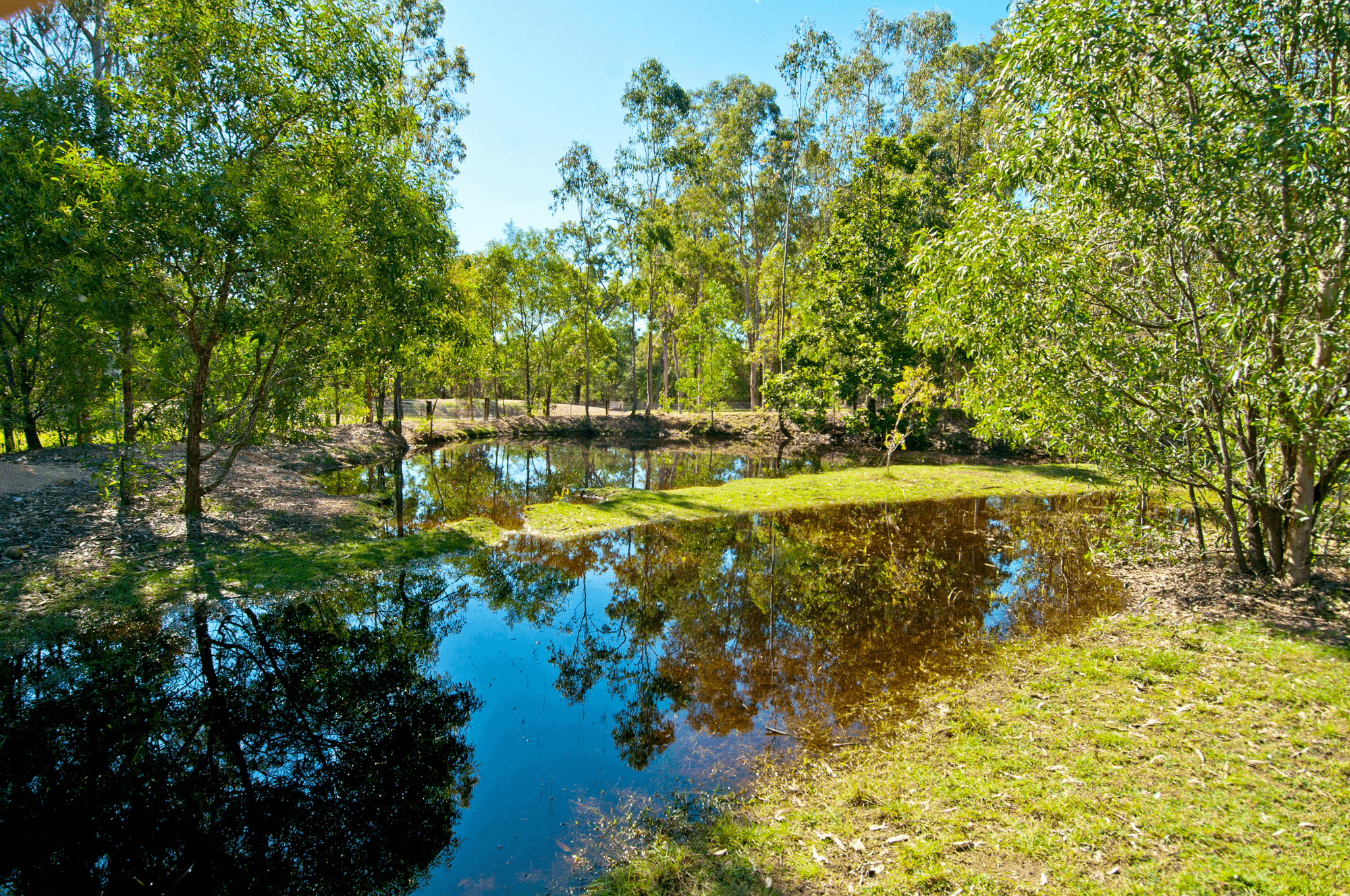 1905 Chambers Flat Road, MUNRUBEN, QLD 4125