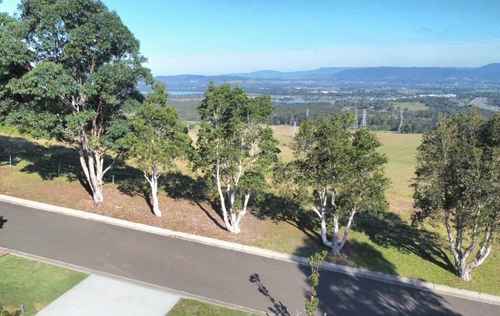38 Carlyle Close, Dapto, NSW 2530