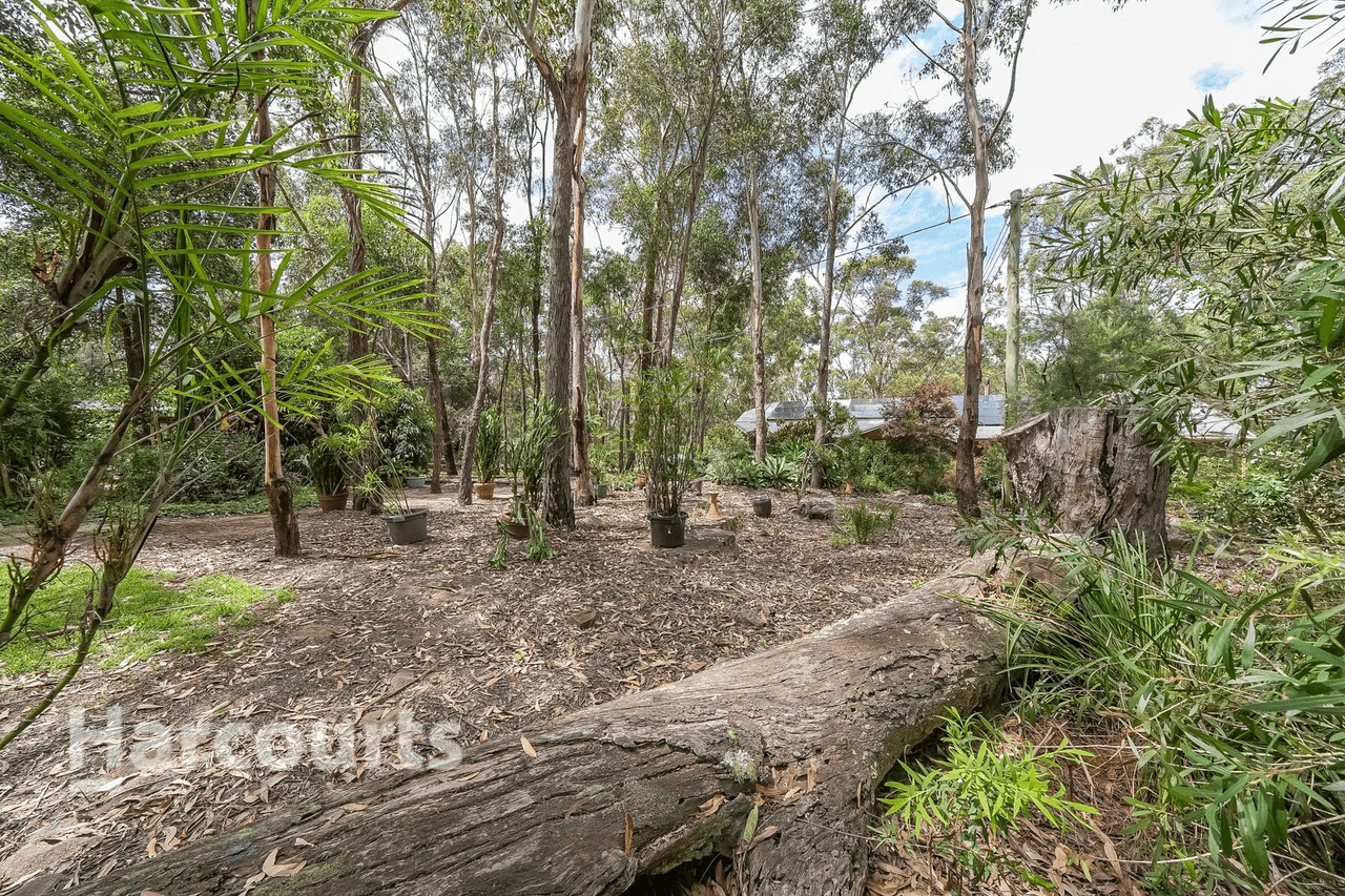 64  Newman Road, Minto Heights, NSW 2566