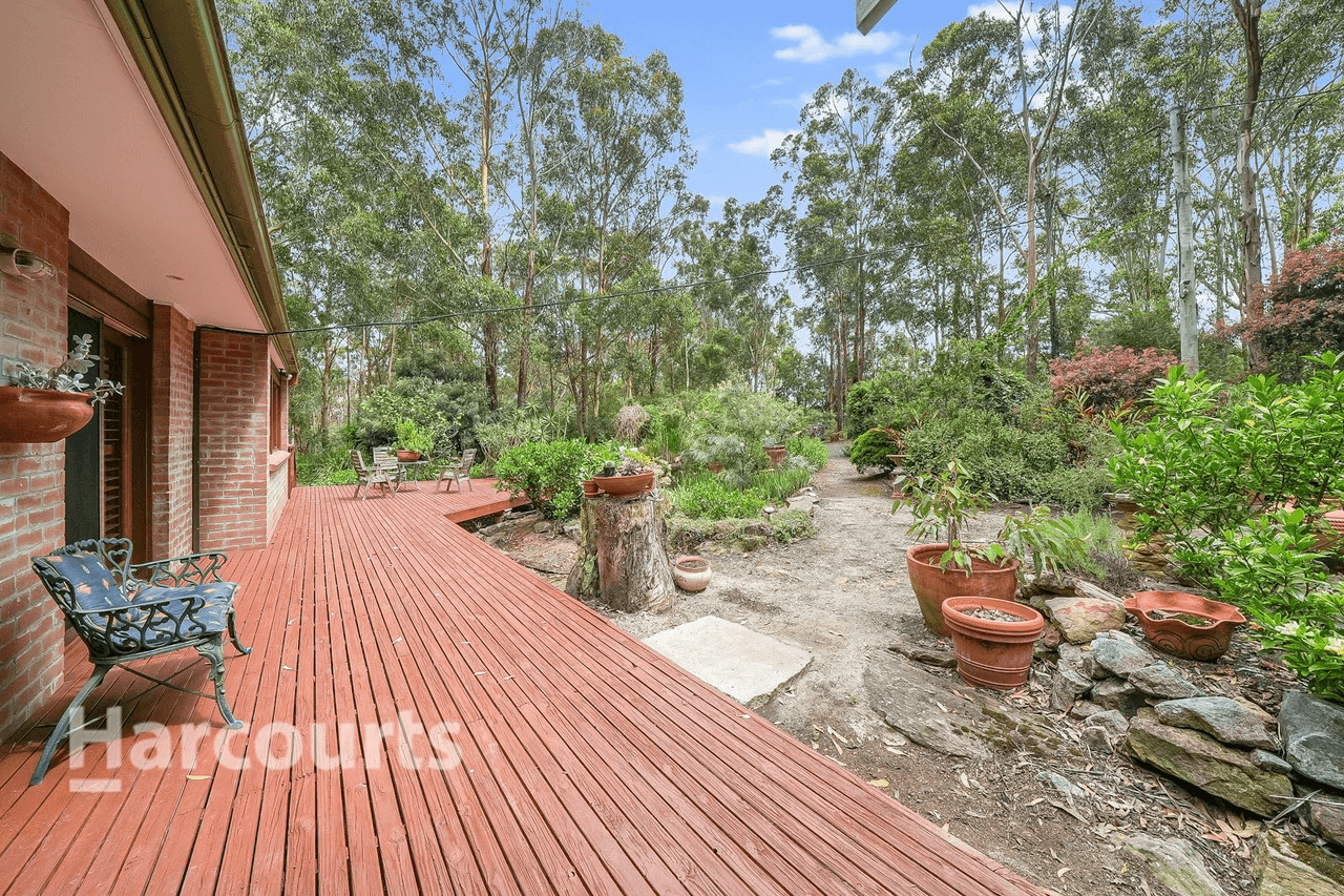 64  Newman Road, Minto Heights, NSW 2566