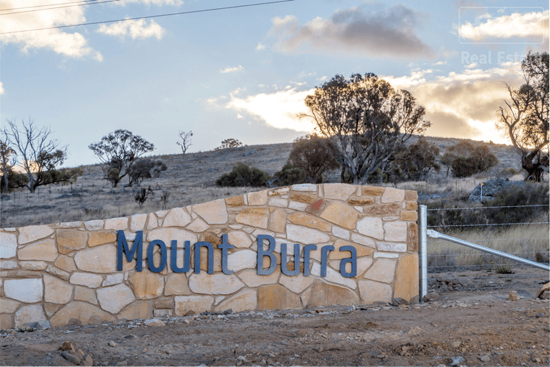 Lot 209 Mount Burra, BURRA, NSW 2620