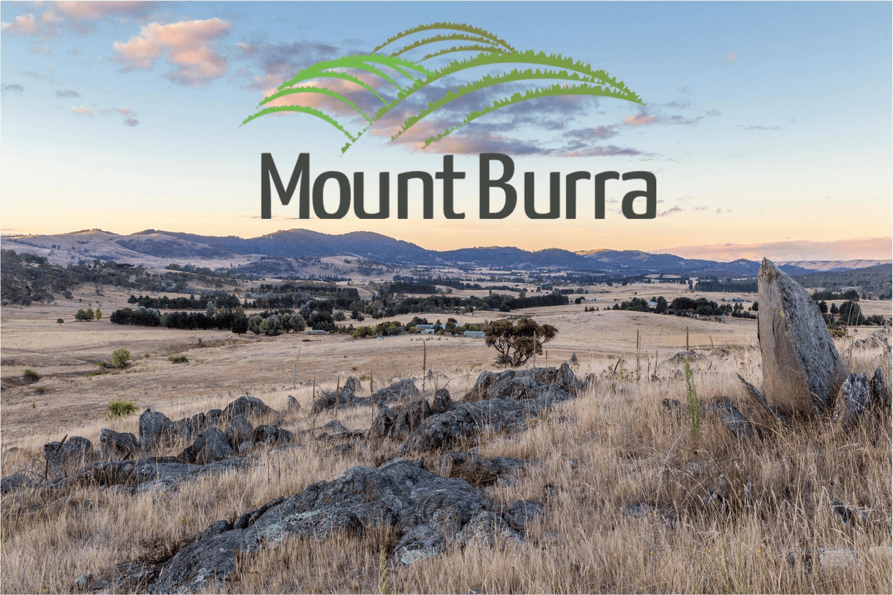 Lot 209 Mount Burra, BURRA, NSW 2620