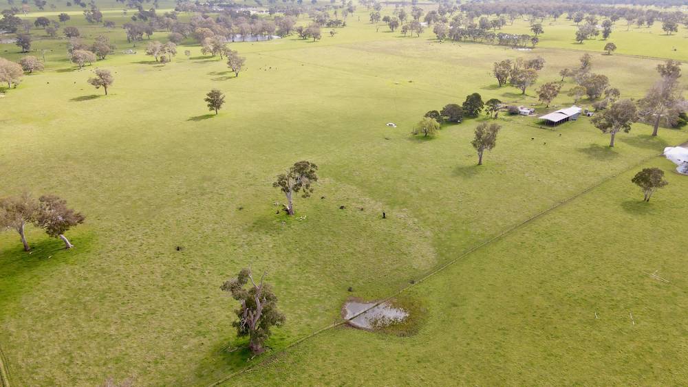 3897 Casterton Penola Road, Penola, SA 5277
