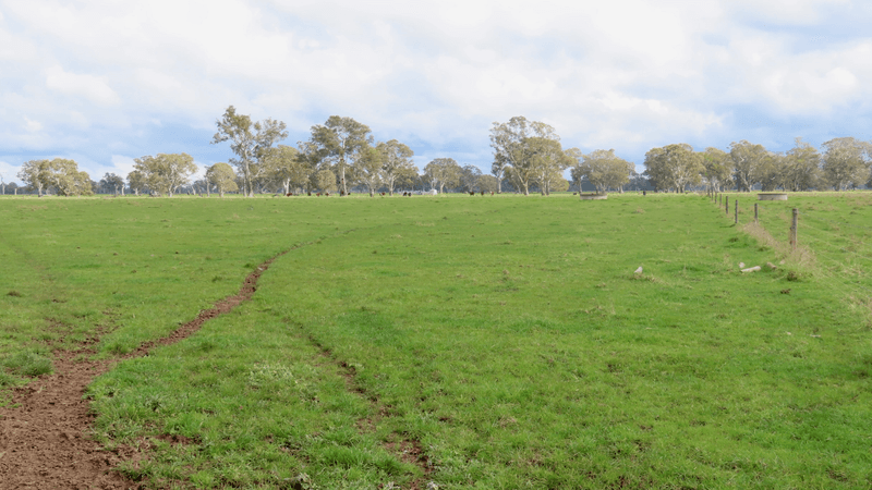 3897 Casterton Penola Road, Penola, SA 5277