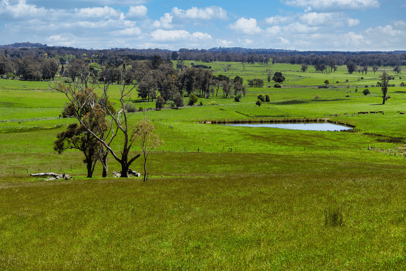 61 Wildes Meadow Road, WILDES MEADOW, NSW 2577