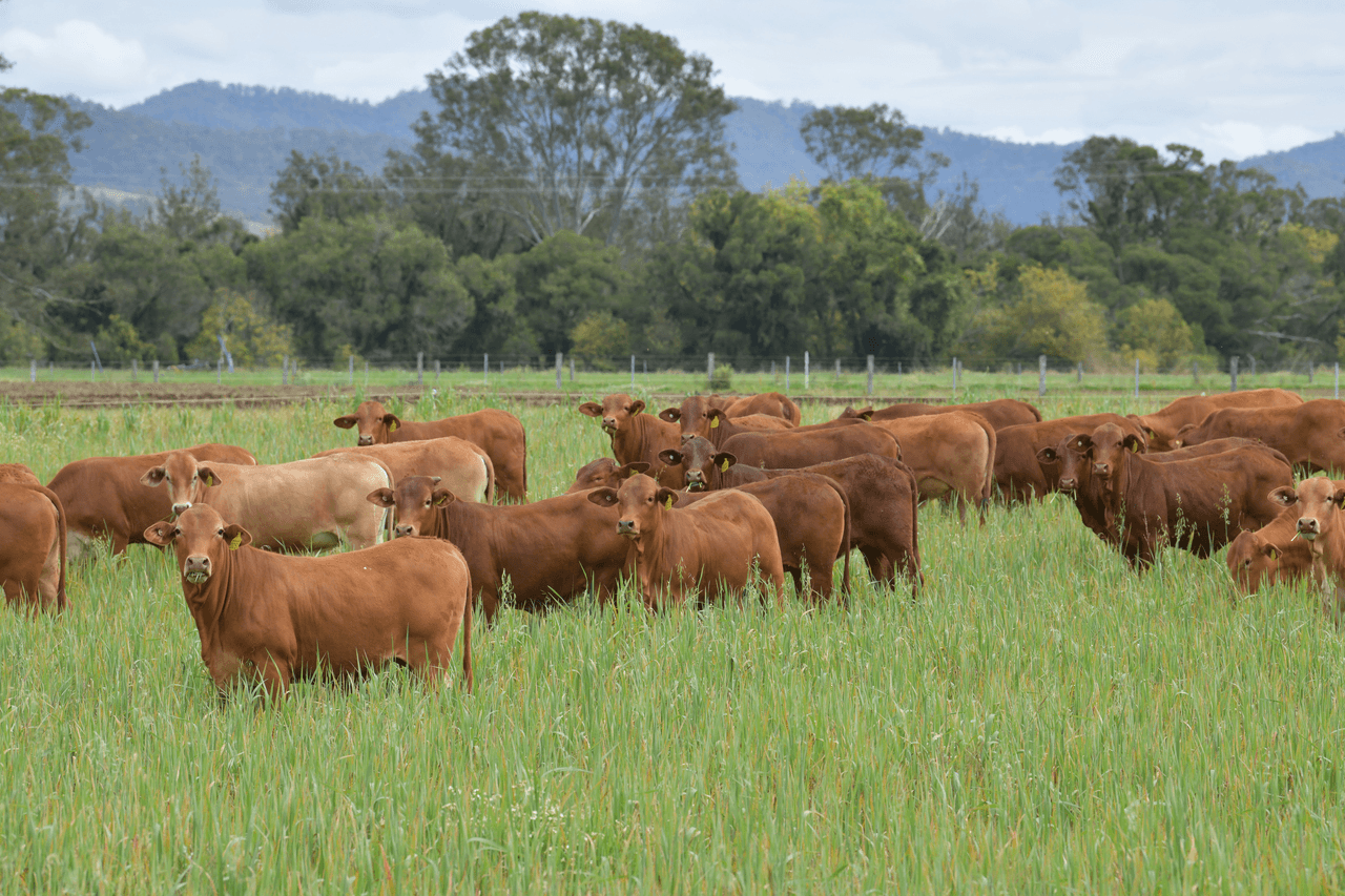 174 Morden Road, TOOGOOLAWAH, QLD 4313