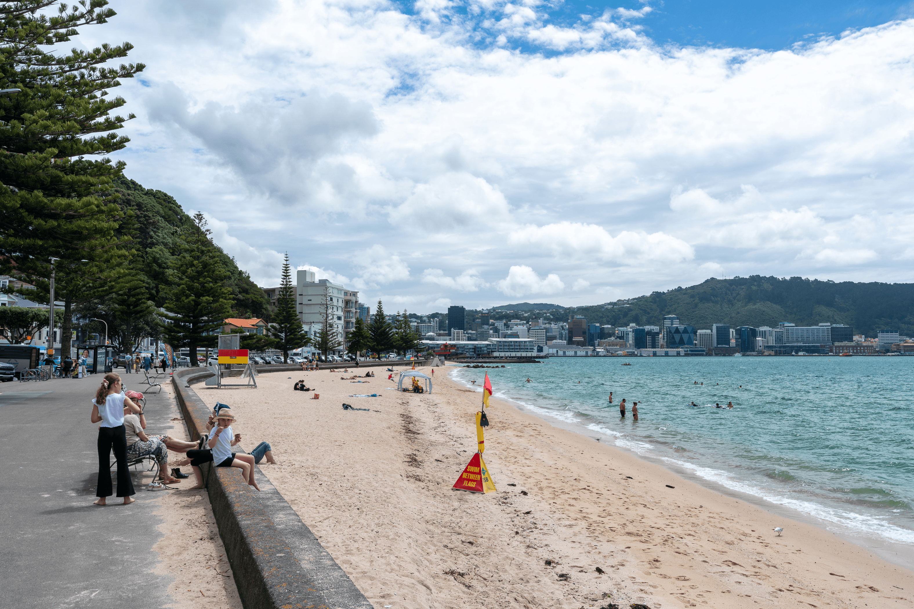 1B/236 Oriental Parade, Oriental Bay, Wellington 6011