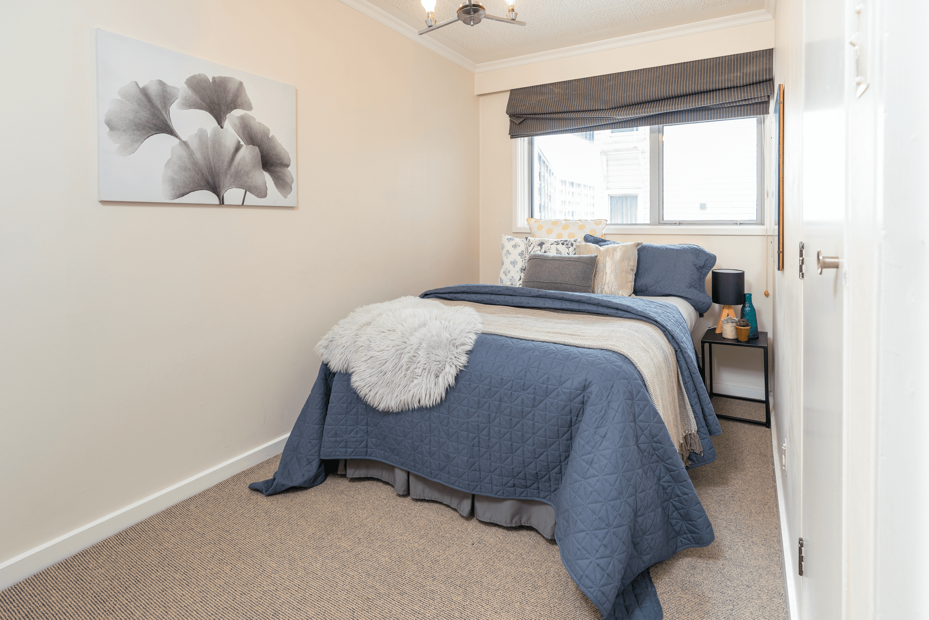 1B/236 Oriental Parade, Oriental Bay, Wellington 6011