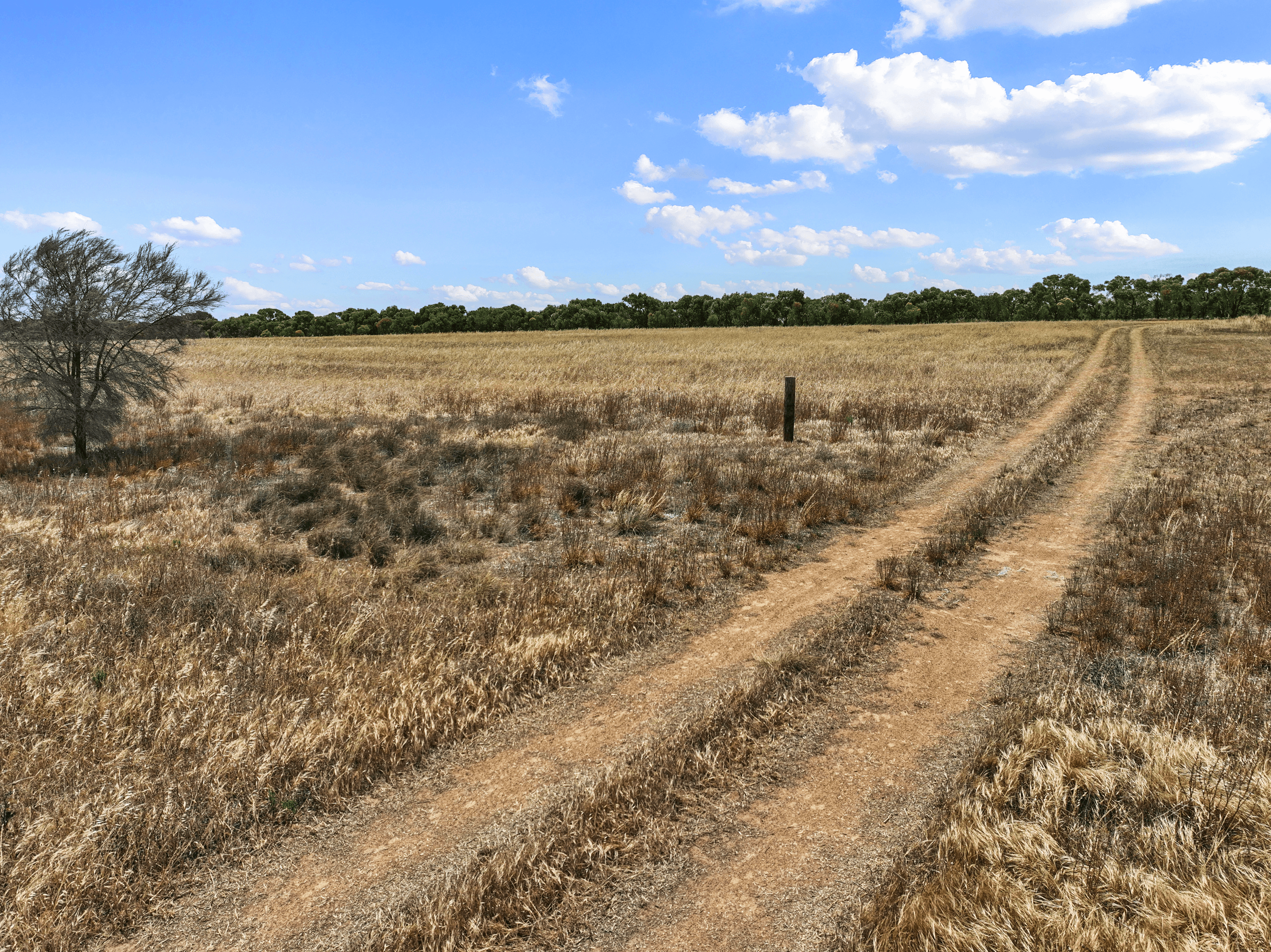 Lot 106 Hills Road, NORTH MOONTA, SA 5558