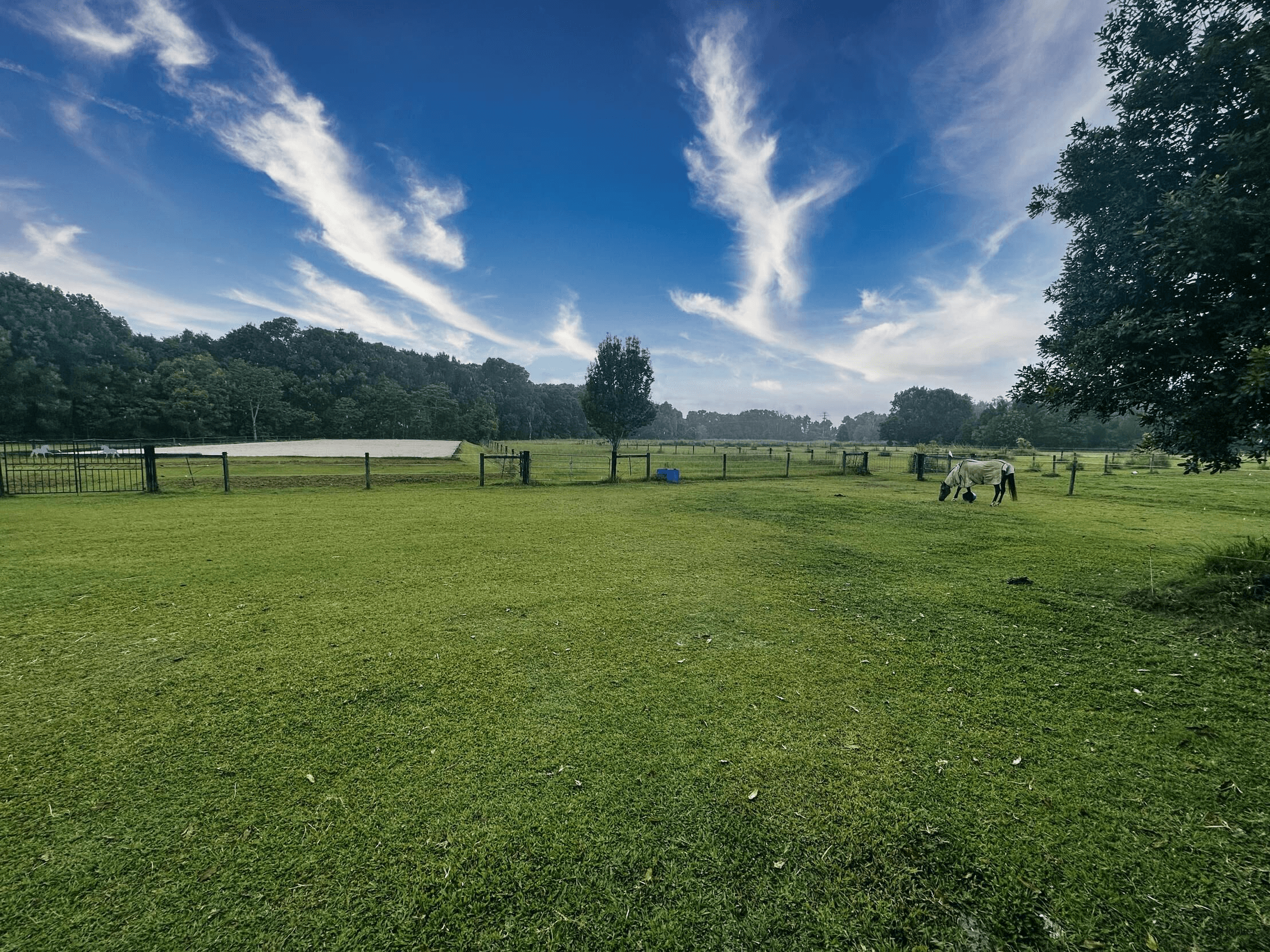308 Tomewin Road, Dungay, NSW 2484