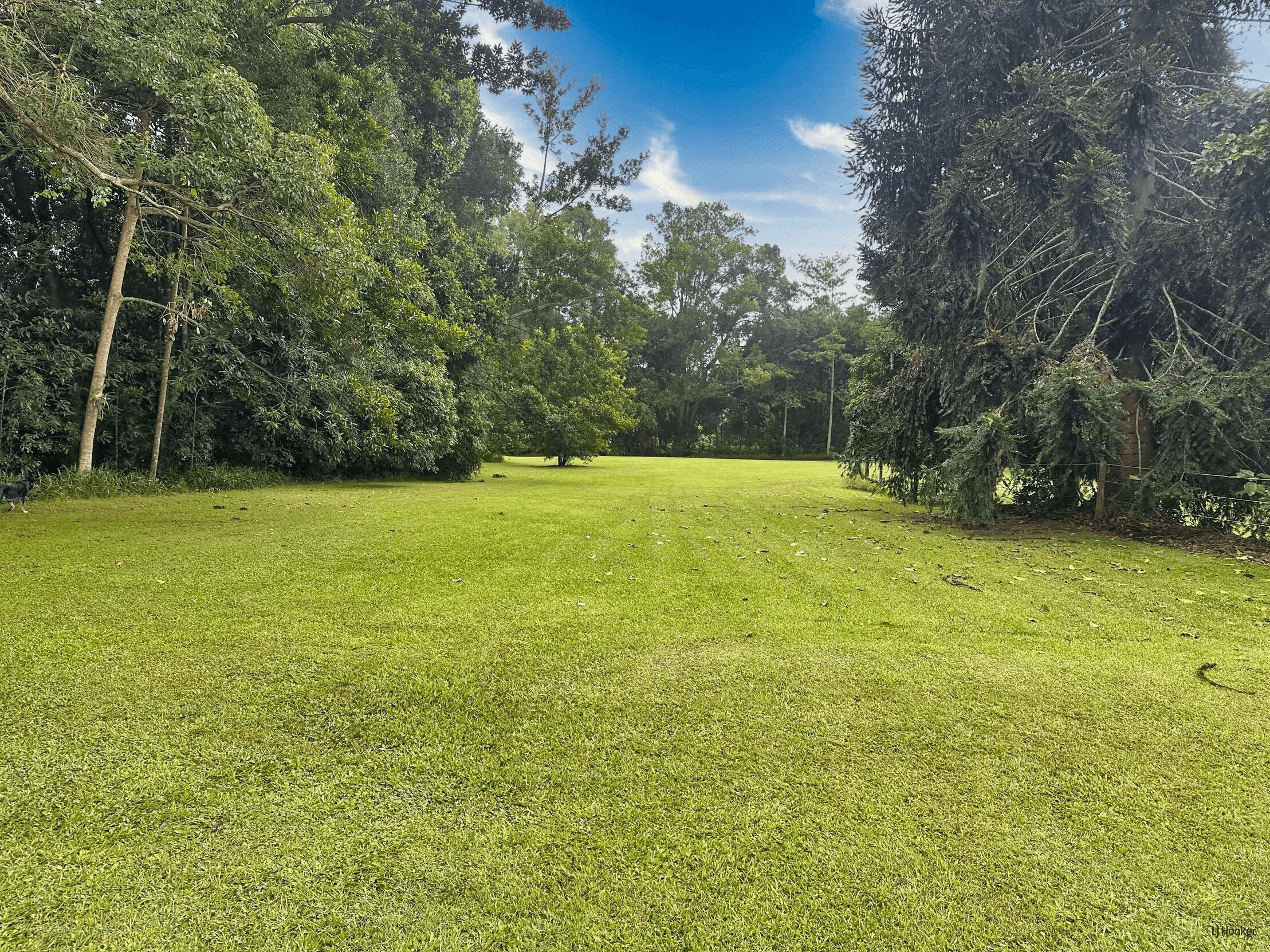 308 Tomewin Road, Dungay, NSW 2484