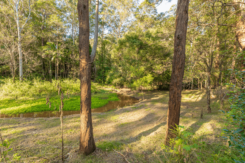 184 Neill Road, MOOLOOLAH VALLEY, QLD 4553