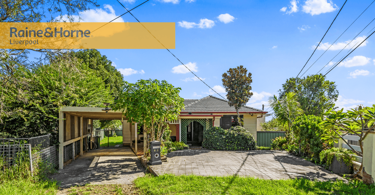 19 Antill Road, MOUNT PRITCHARD, NSW 2170