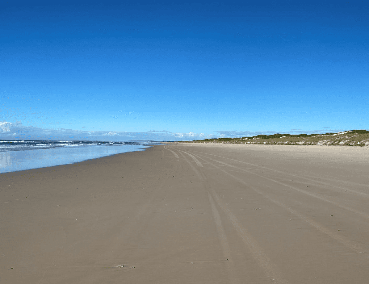 Sneesbys Lane, East Wardell, NSW 2477