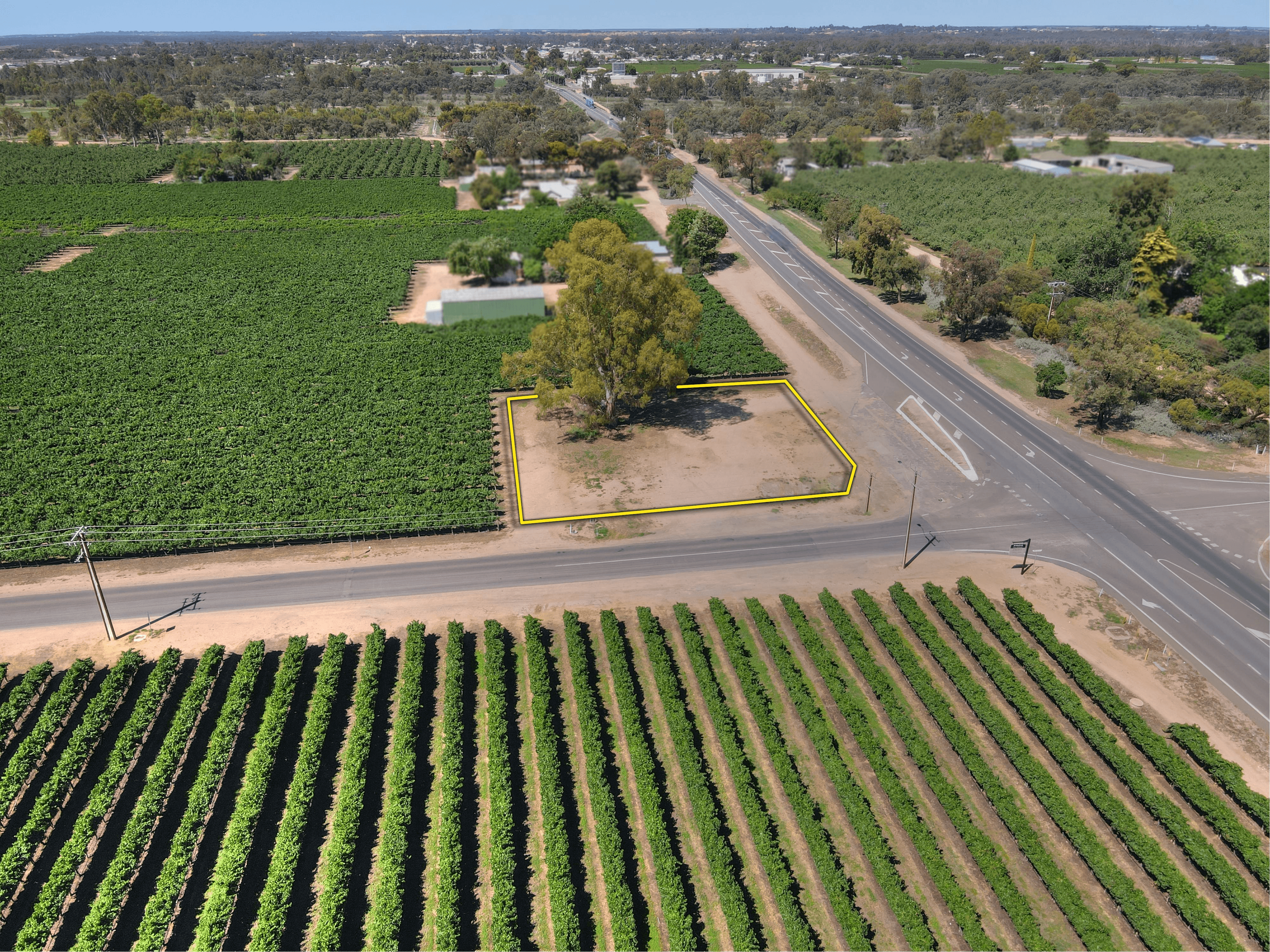 59 Twentyfifth Street, RENMARK, SA 5341