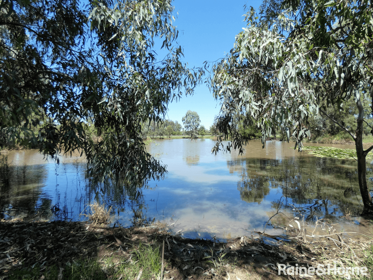 81 Bundaloey Road, MOREE, NSW 2400