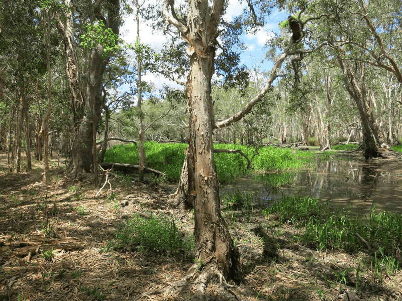 0 "Werribee Creek" Valley Road, CANAL CREEK, QLD 4702