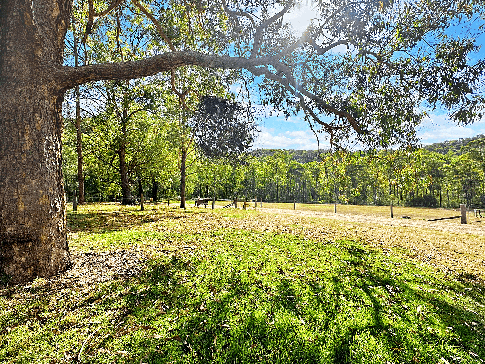 63 Yallambie Road, Laguna, NSW 2325