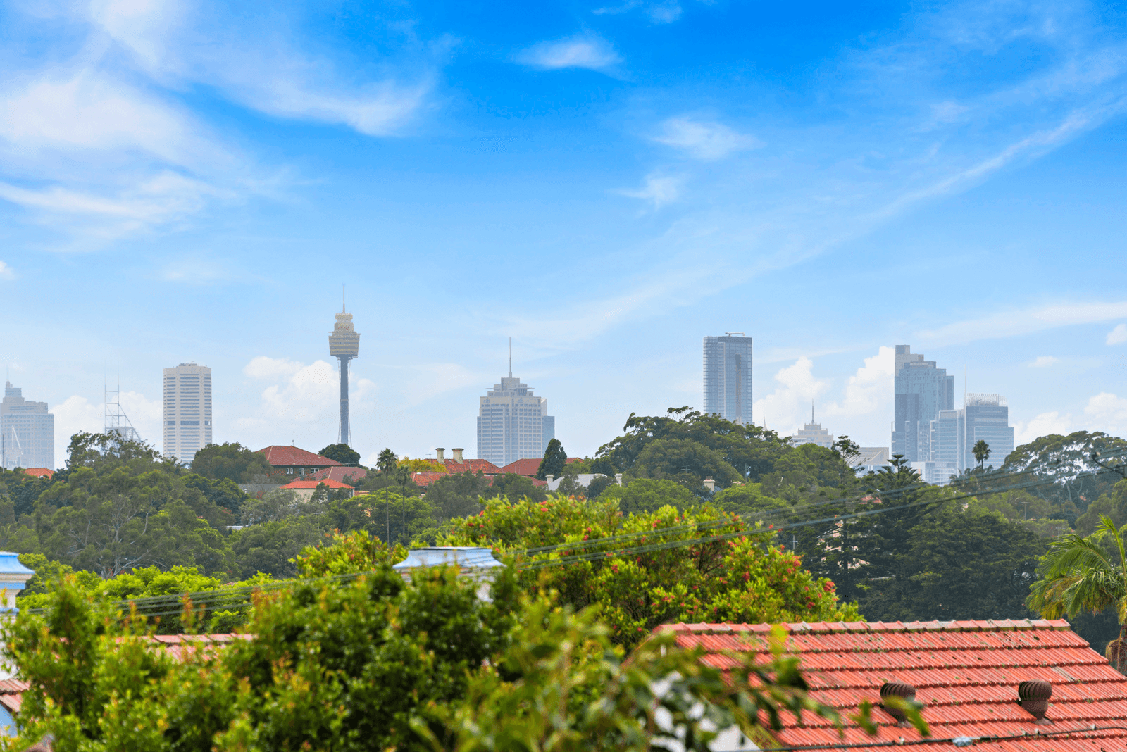 6 Herbert Street, DULWICH HILL, NSW 2203