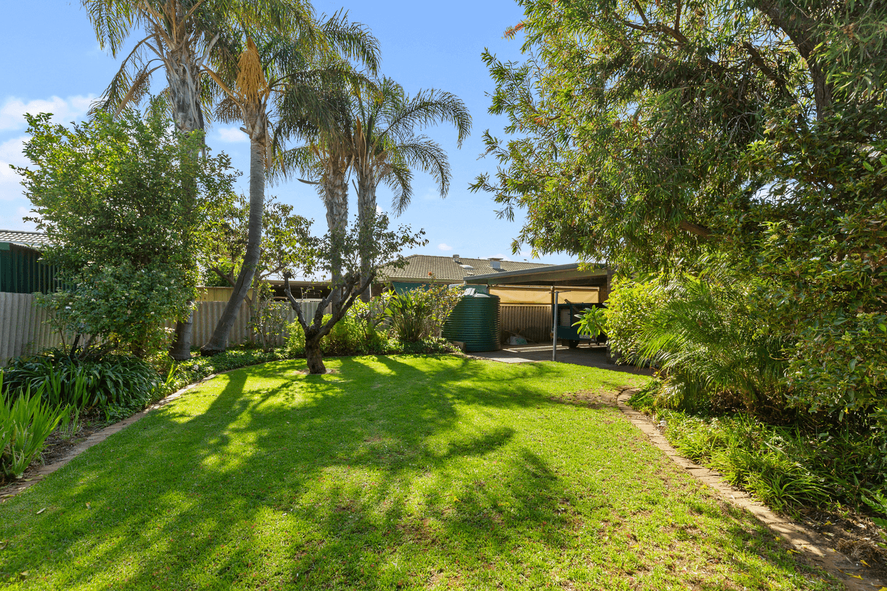 3 Ellinis Street, NORTH HAVEN, SA 5018